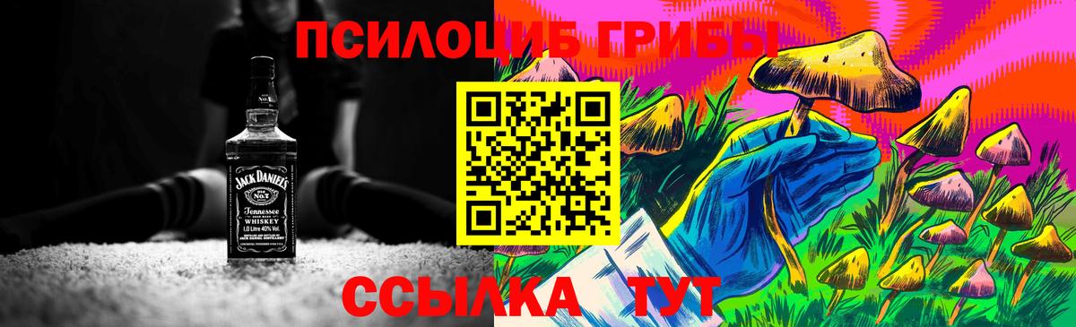 Галлюциногенные грибы MAGIC MUSHROOMS  Вход с VPN  Видное  Галлюциногенные грибы Cubensis 